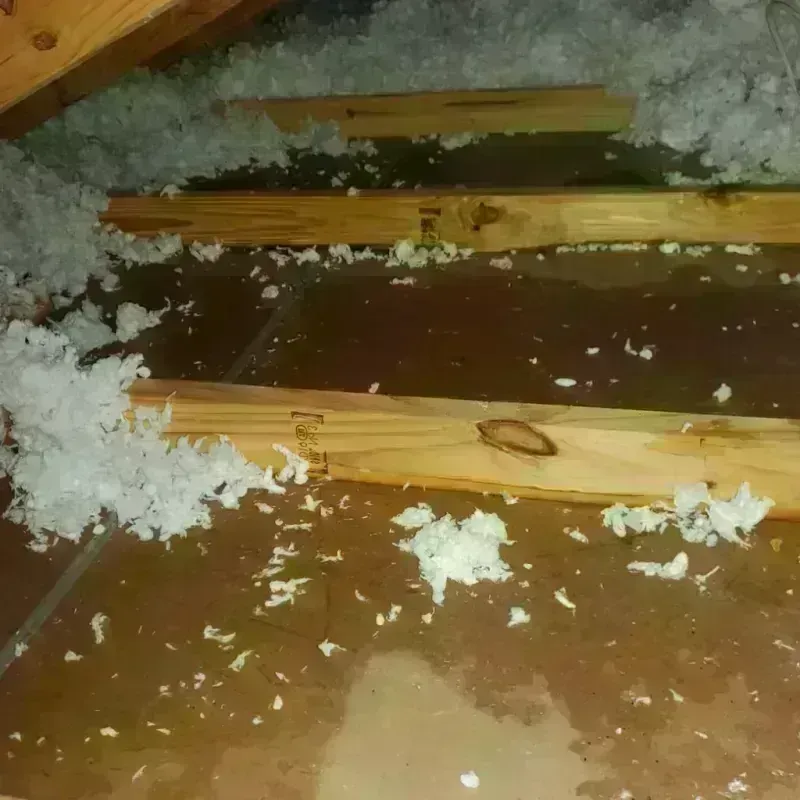 Attic Water Damage in Greenville, TX