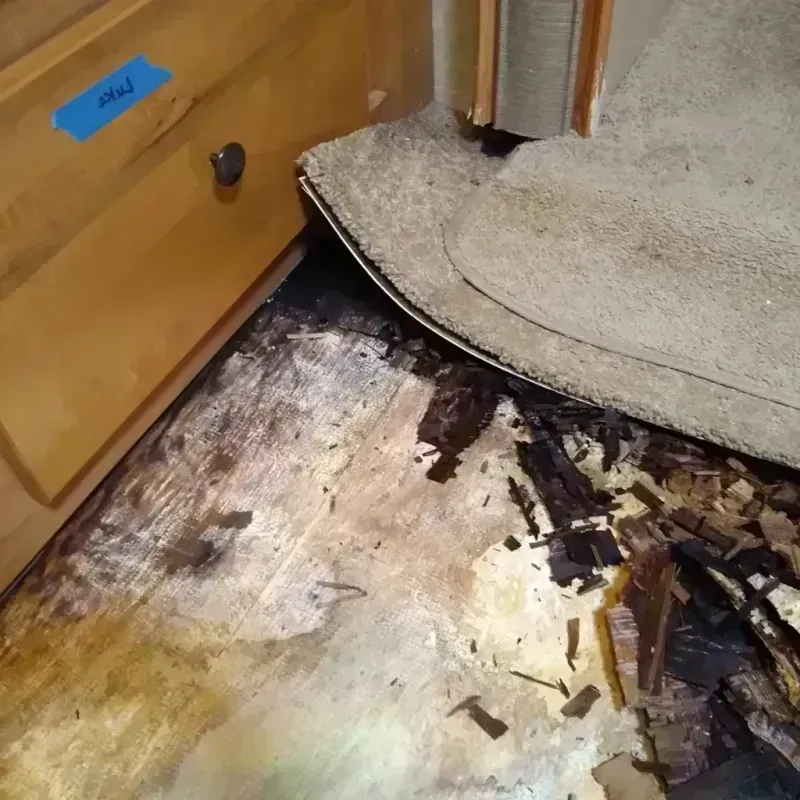 Wood Floor Water Damage in Greenville, TX